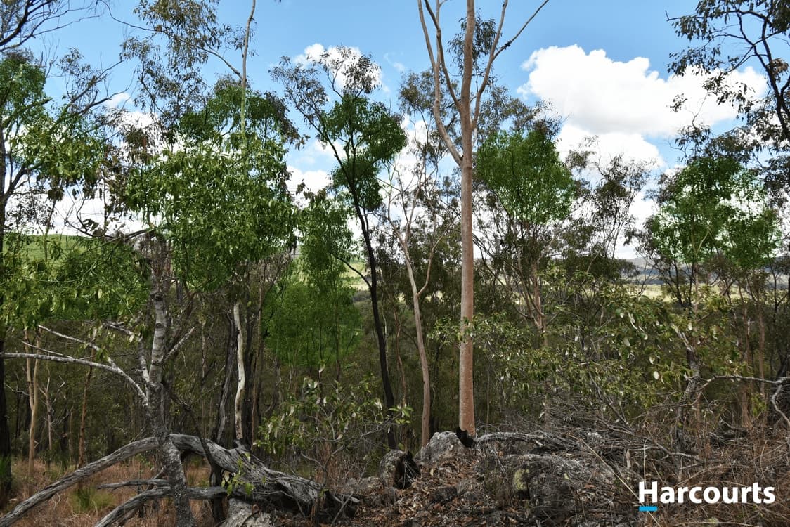 Lot 29 Wonbah Avenue, WONBAH, QLD 4671, Wonbah - Thumbnail 8