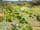 Lot 1, 504 Back River Road, MAGRA, TAS 7140, Magra - Image 1
