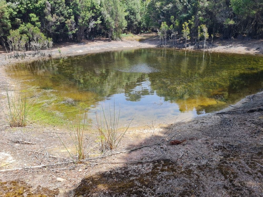 1038 Pegarah Road, NARACOOPA, TAS 7256, Naracoopa - Thumbnail 5