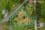 Lot 13-14 Main Road, WELDBOROUGH, TAS 7264, Weldborough - Image 1