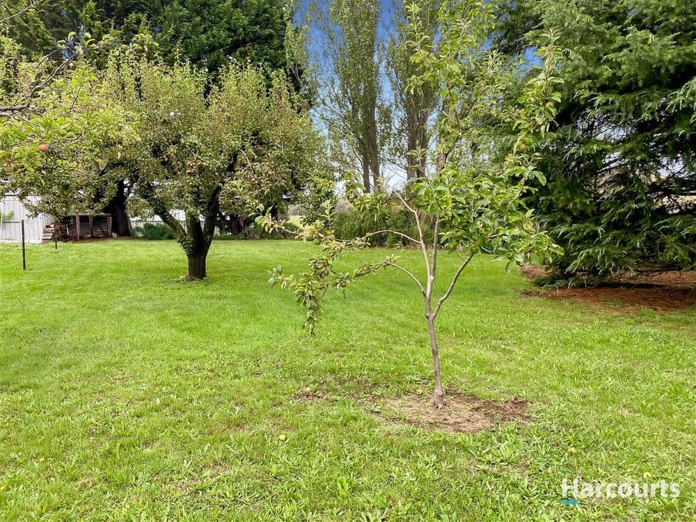 10 Main Street, ST MARYS, TAS 7215, St Marys - Thumbnail 4