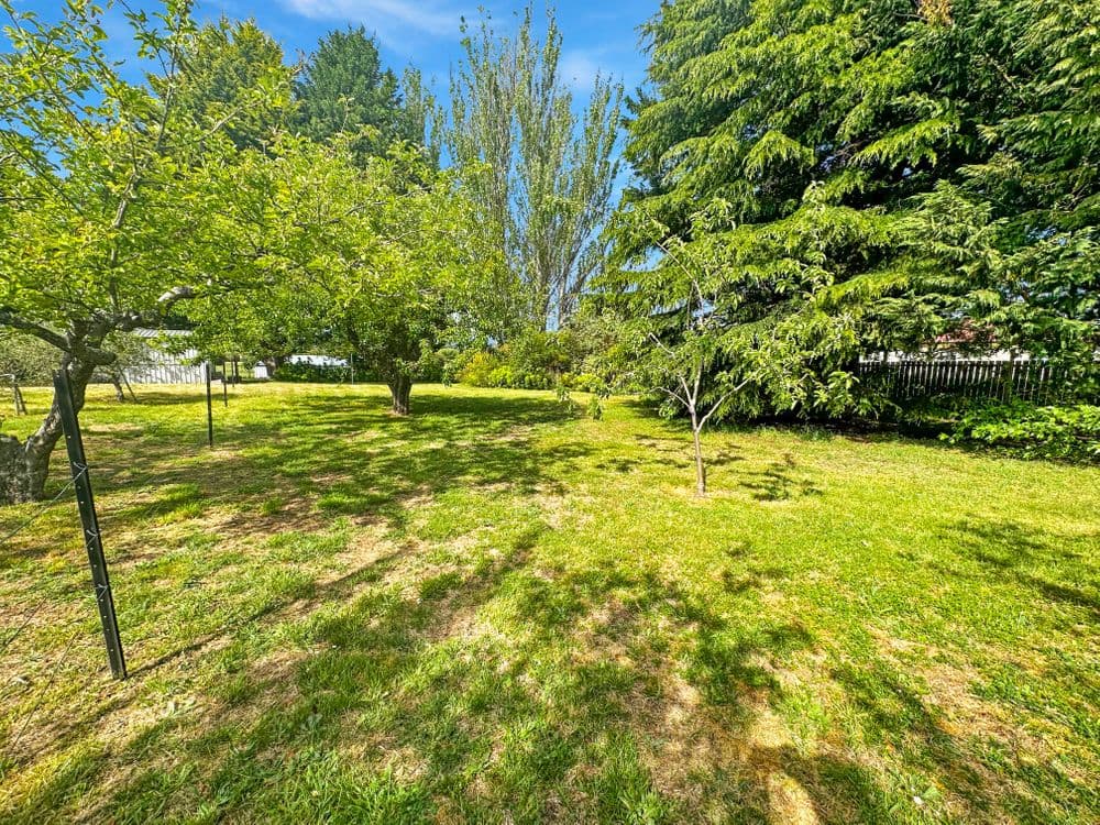 10 Main Street, ST MARYS, TAS 7215, St Marys - Thumbnail 5