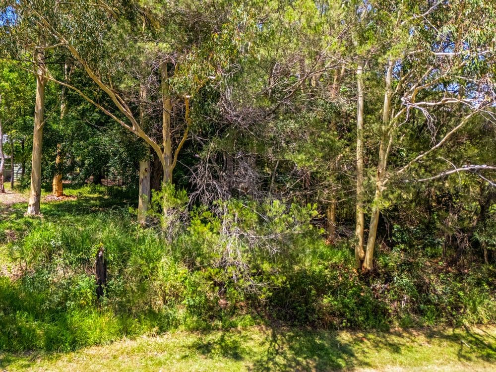 22 Barcelona Terrace, RUSSELL ISLAND, QLD 4184, Russell Island - Thumbnail 2