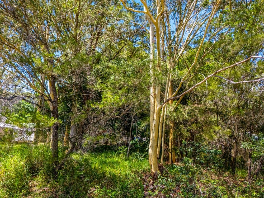22 Barcelona Terrace, RUSSELL ISLAND, QLD 4184, Russell Island - Thumbnail 6