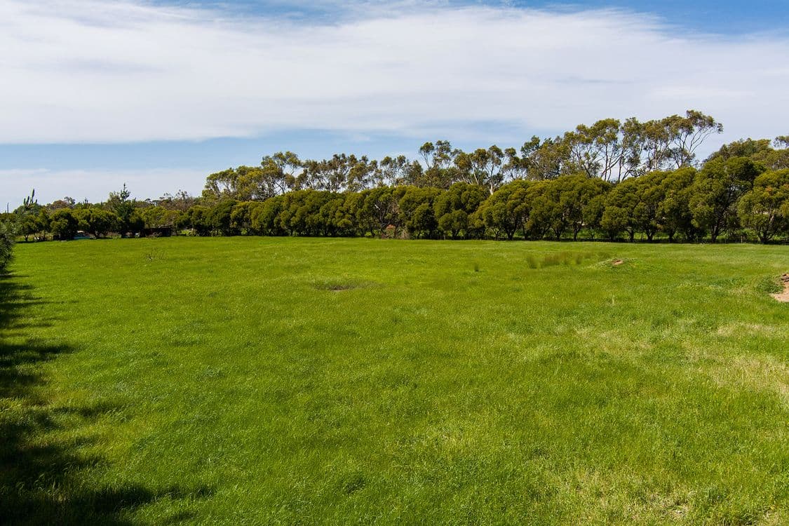 300 Marlborough Street, LONGFORD, TAS 7301, Longford - Thumbnail 4