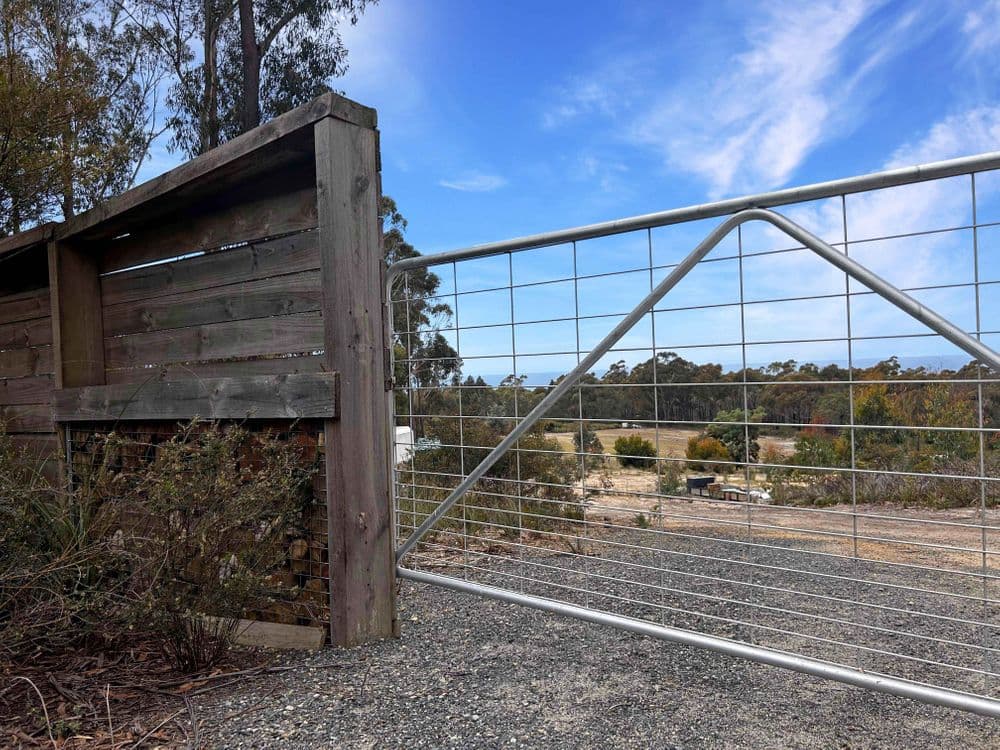 80 McManus Drive, FALMOUTH, TAS 7215, Falmouth - Thumbnail 5