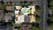 Lot 40/17 Tennyson Drive, BEAUMONT, SA 5066, Beaumont - Thumbnail 6