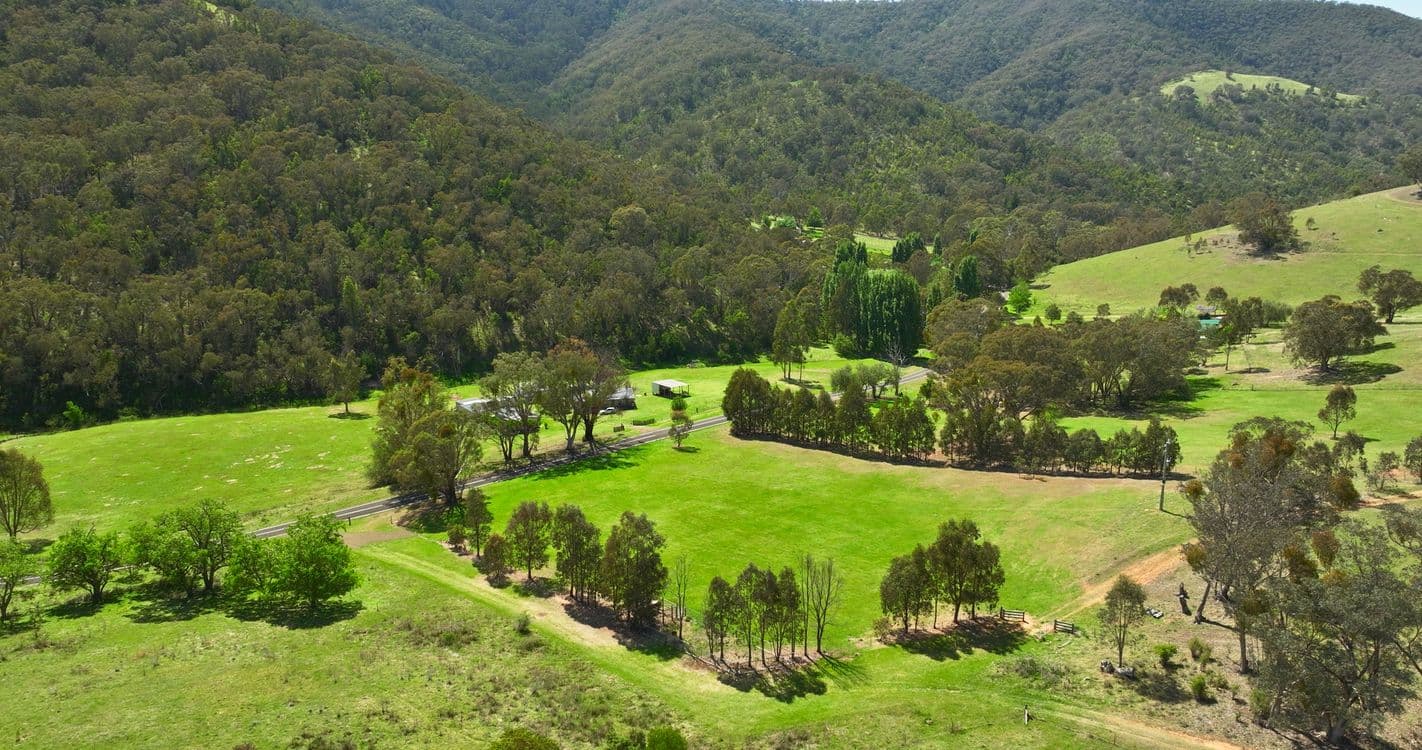 1375 Cassilis Road, CASSILIS, VIC 3898, Cassilis - Thumbnail 4