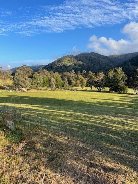 1375 Cassilis Road, CASSILIS, VIC 3898, Cassilis - Thumbnail 7
