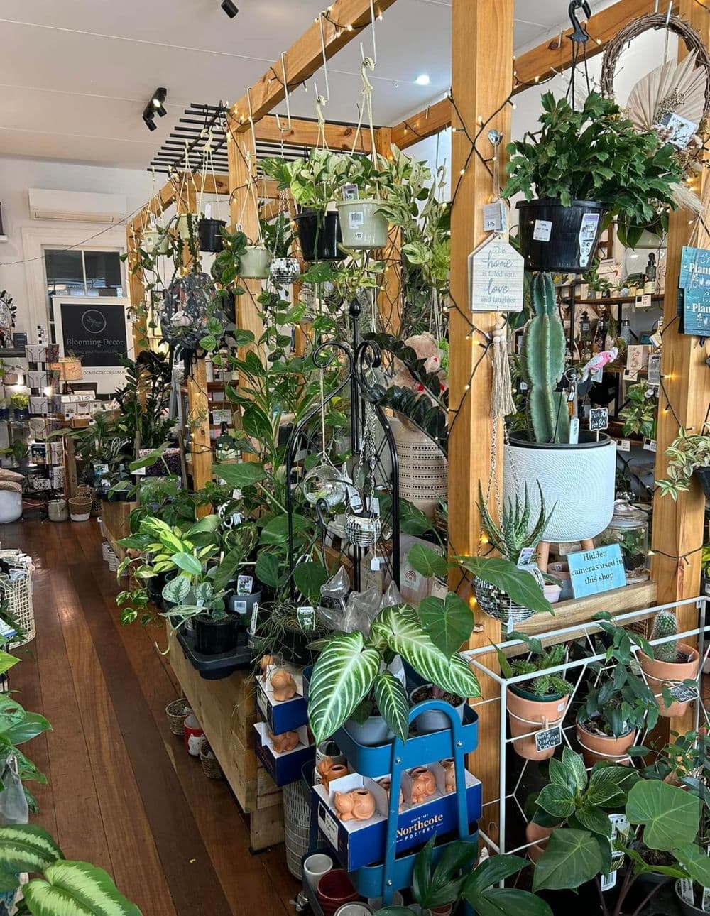 101 South Terrace, FREMANTLE, WA 6160, Fremantle - Thumbnail 8