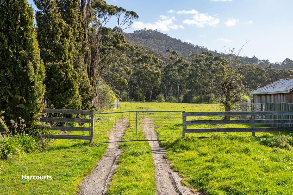 25 Wilmot Road, HUONVILLE, TAS 7109, Huonville - Thumbnail 4