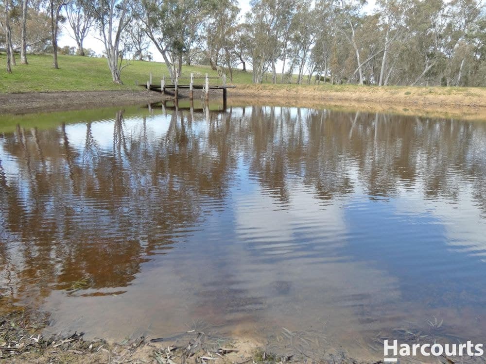 1790 Harrow-Balmoral Road, BALMORAL, VIC 3407, Balmoral - Thumbnail 3