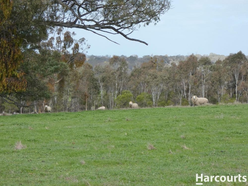 1790 Harrow-Balmoral Road, BALMORAL, VIC 3407, Balmoral - Thumbnail 4