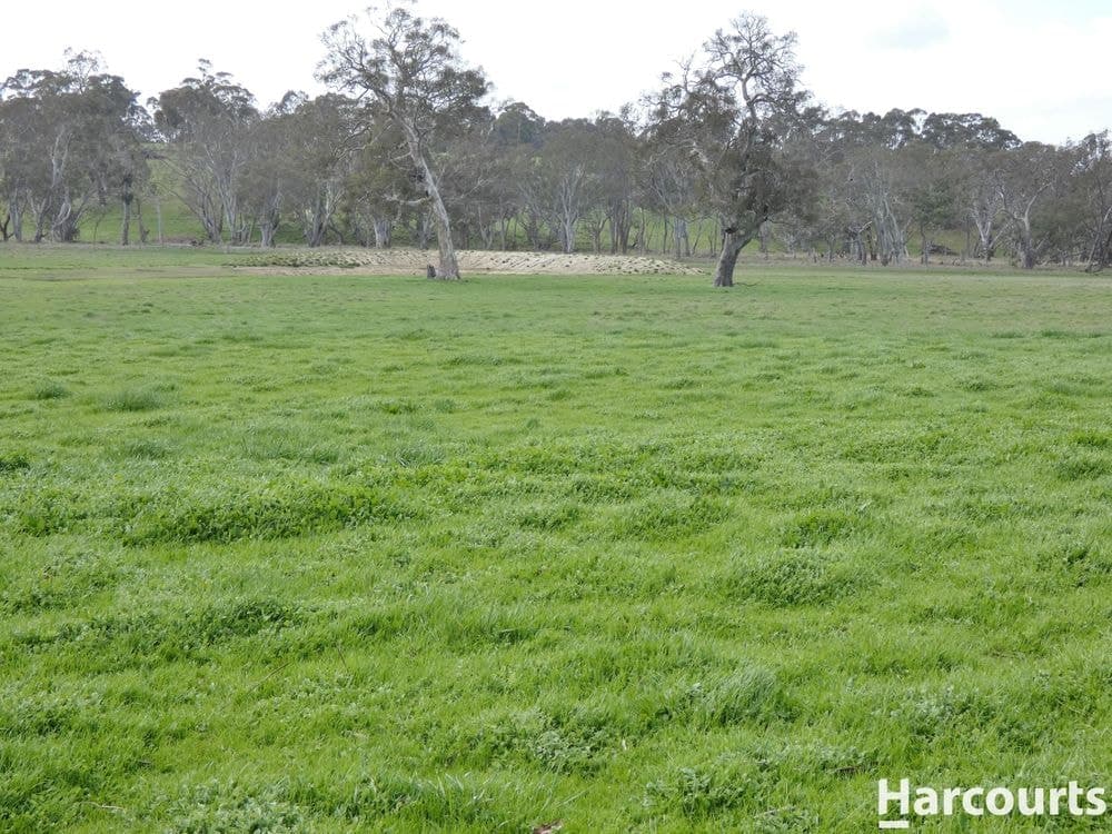 1790 Harrow-Balmoral Road, BALMORAL, VIC 3407, Balmoral - Thumbnail 6