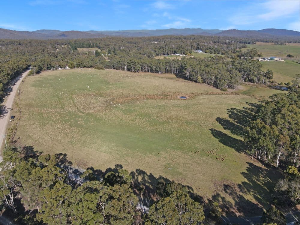 33 Reids Road, ST HELENS, TAS 7216, St Helens - Thumbnail 2