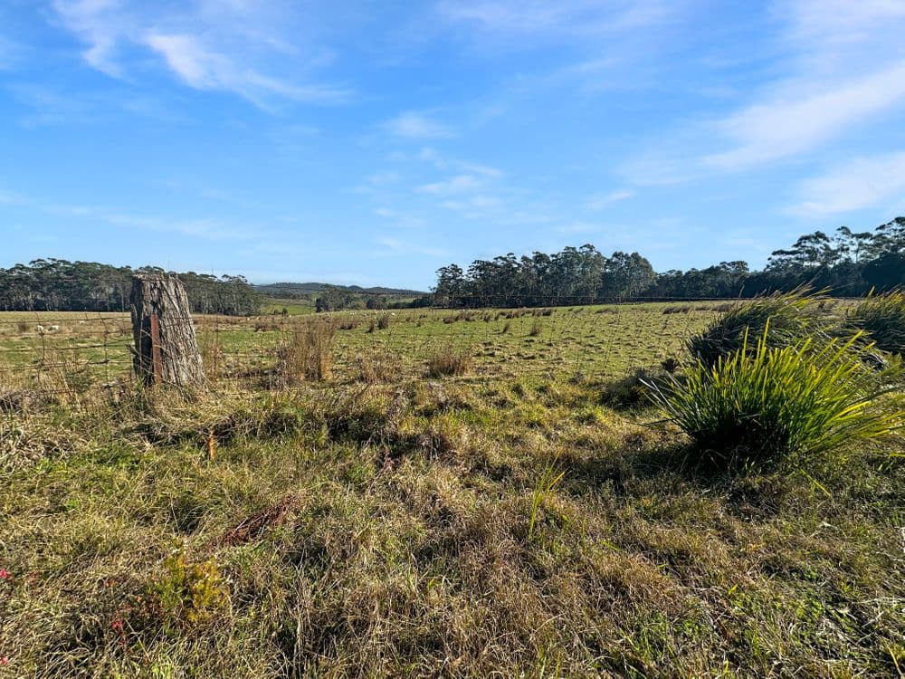 33 Reids Road, ST HELENS, TAS 7216, St Helens - Thumbnail 3
