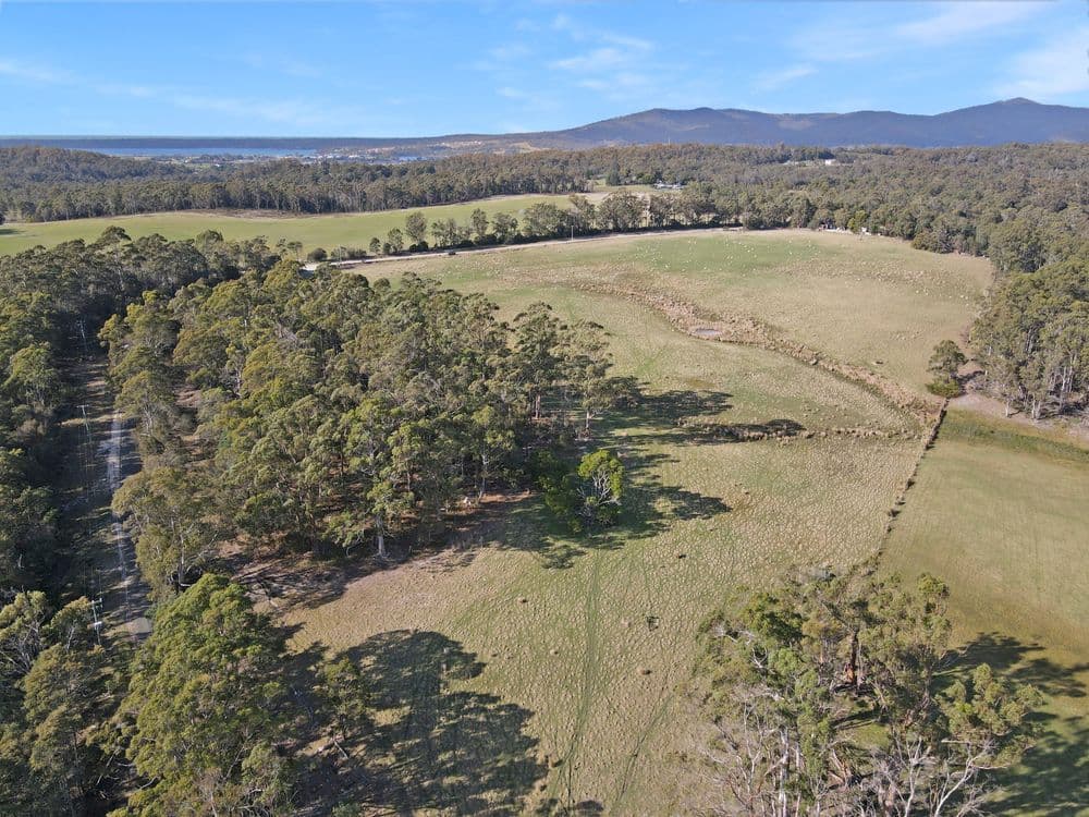 33 Reids Road, ST HELENS, TAS 7216, St Helens - Thumbnail 4