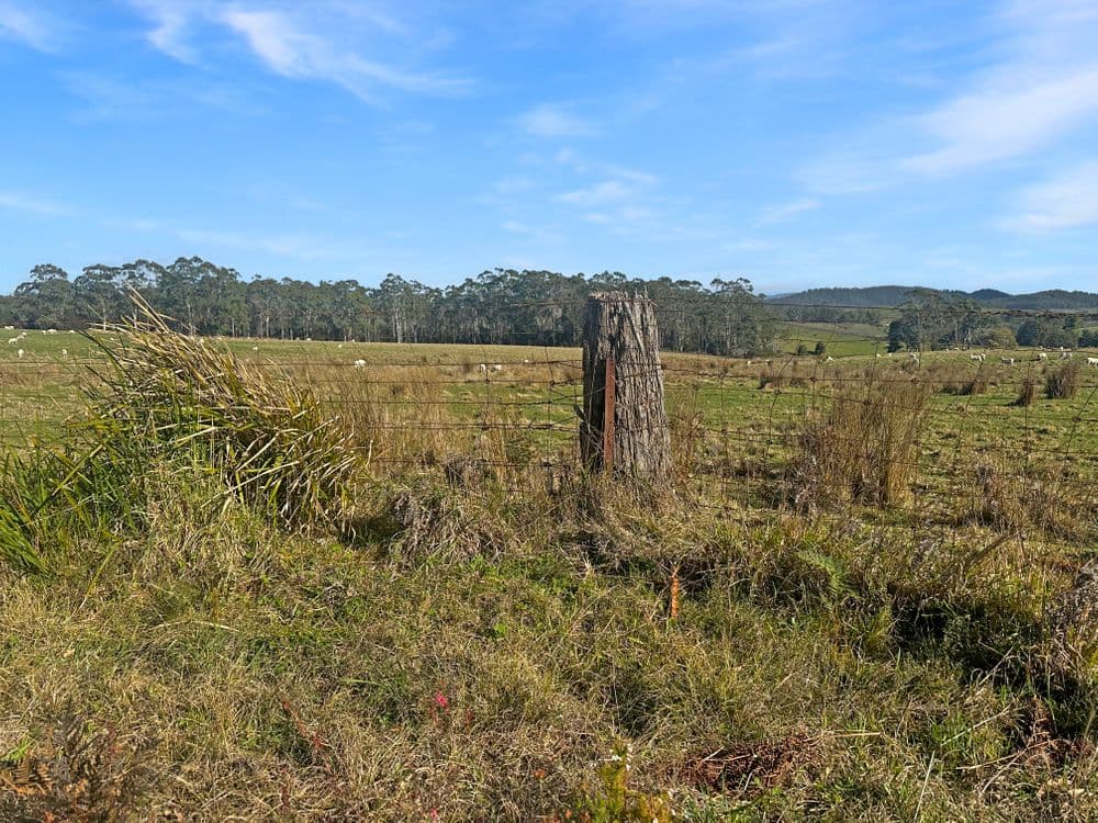 33 Reids Road, ST HELENS, TAS 7216, St Helens - Thumbnail 6