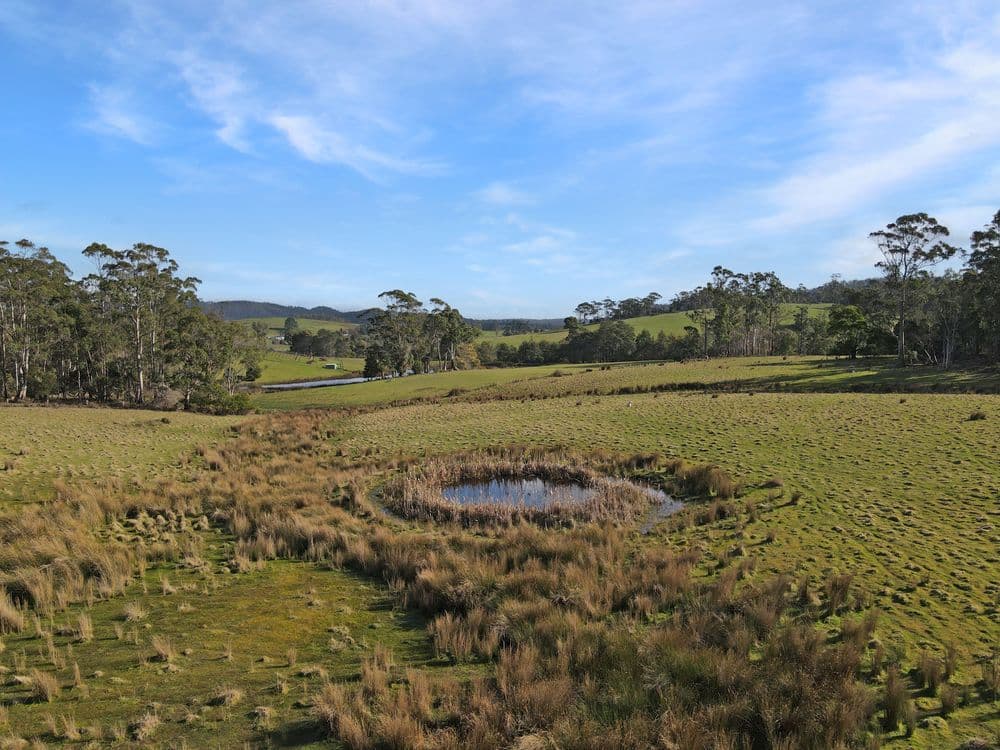 33 Reids Road, ST HELENS, TAS 7216, St Helens - Thumbnail 7