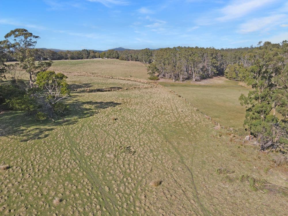33 Reids Road, ST HELENS, TAS 7216, St Helens - Thumbnail 8
