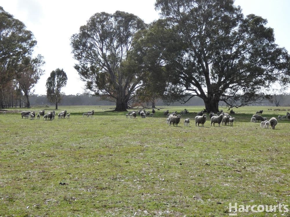 6080 Western Highway, DADSWELLS BRIDGE, VIC 3385, Dadswells Bridge - Thumbnail 2