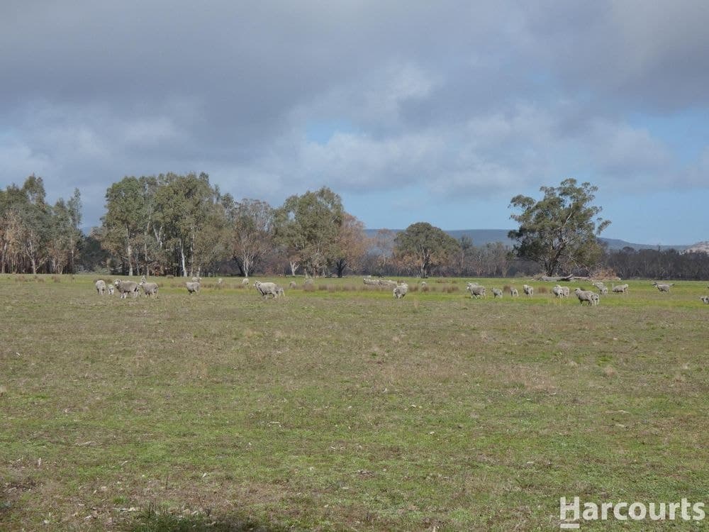 6080 Western Highway, DADSWELLS BRIDGE, VIC 3385, Dadswells Bridge - Thumbnail 6