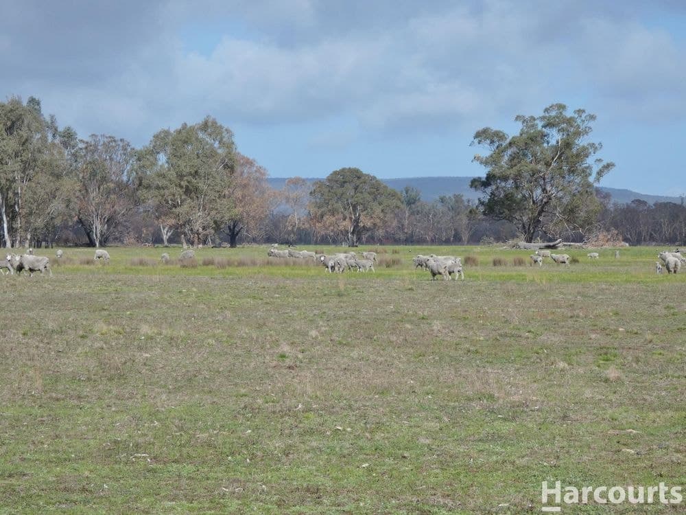 6080 Western Highway, DADSWELLS BRIDGE, VIC 3385, Dadswells Bridge - Thumbnail 7