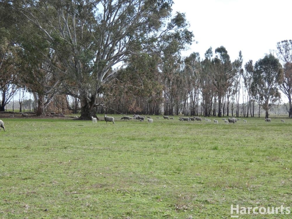 6080 Western Highway, DADSWELLS BRIDGE, VIC 3385, Dadswells Bridge - Thumbnail 8