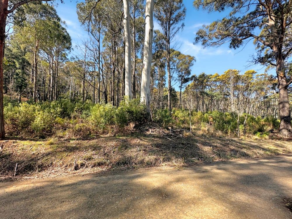 Lot 5 Gardiners Creek Road, ST MARYS, TAS 7215, St Marys - Thumbnail 2