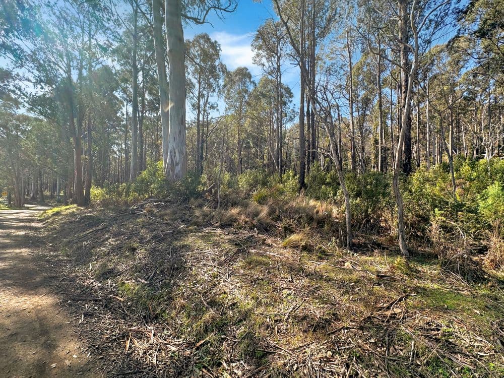 Lot 5 Gardiners Creek Road, ST MARYS, TAS 7215, St Marys - Thumbnail 5