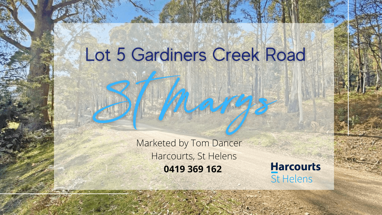 Lot 5 Gardiners Creek Road, ST MARYS, TAS 7215, St Marys - Thumbnail 8