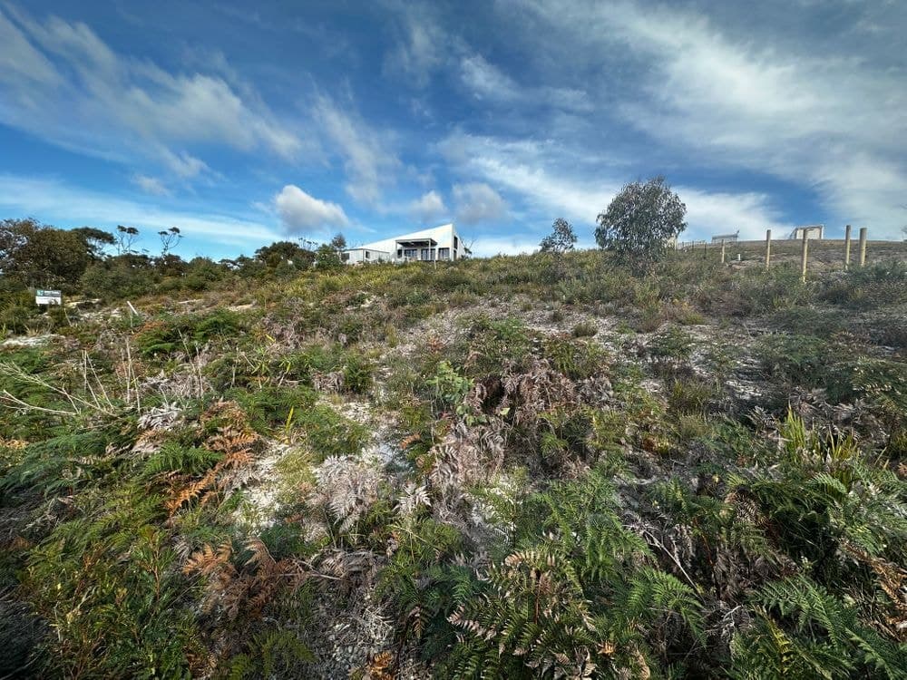 4 Sunrise Court, SCAMANDER, TAS 7215, Scamander - Thumbnail 6