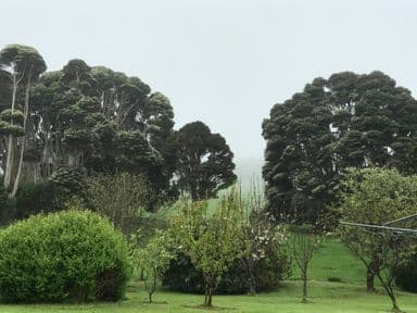 90 Bischoffs Road, PEGARAH, TAS 7256, Pegarah - Image 1