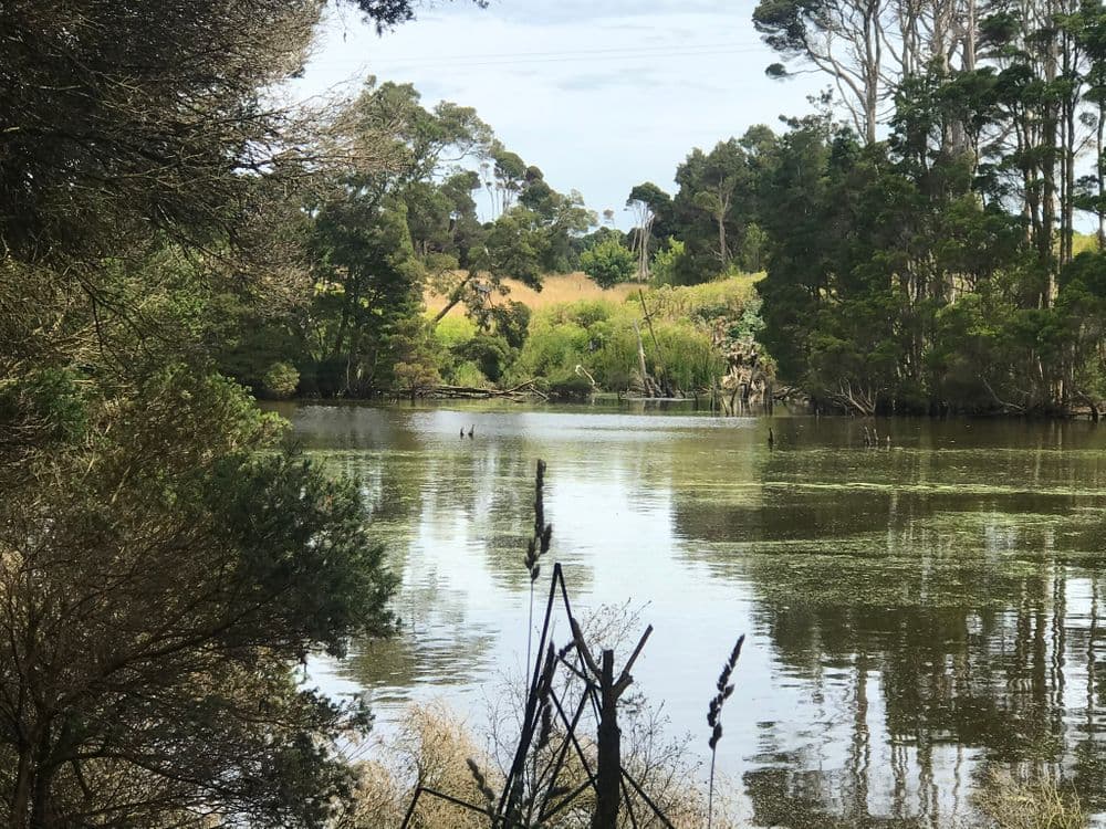 90 Bischoffs Road, PEGARAH, TAS 7256, Pegarah - Thumbnail 2