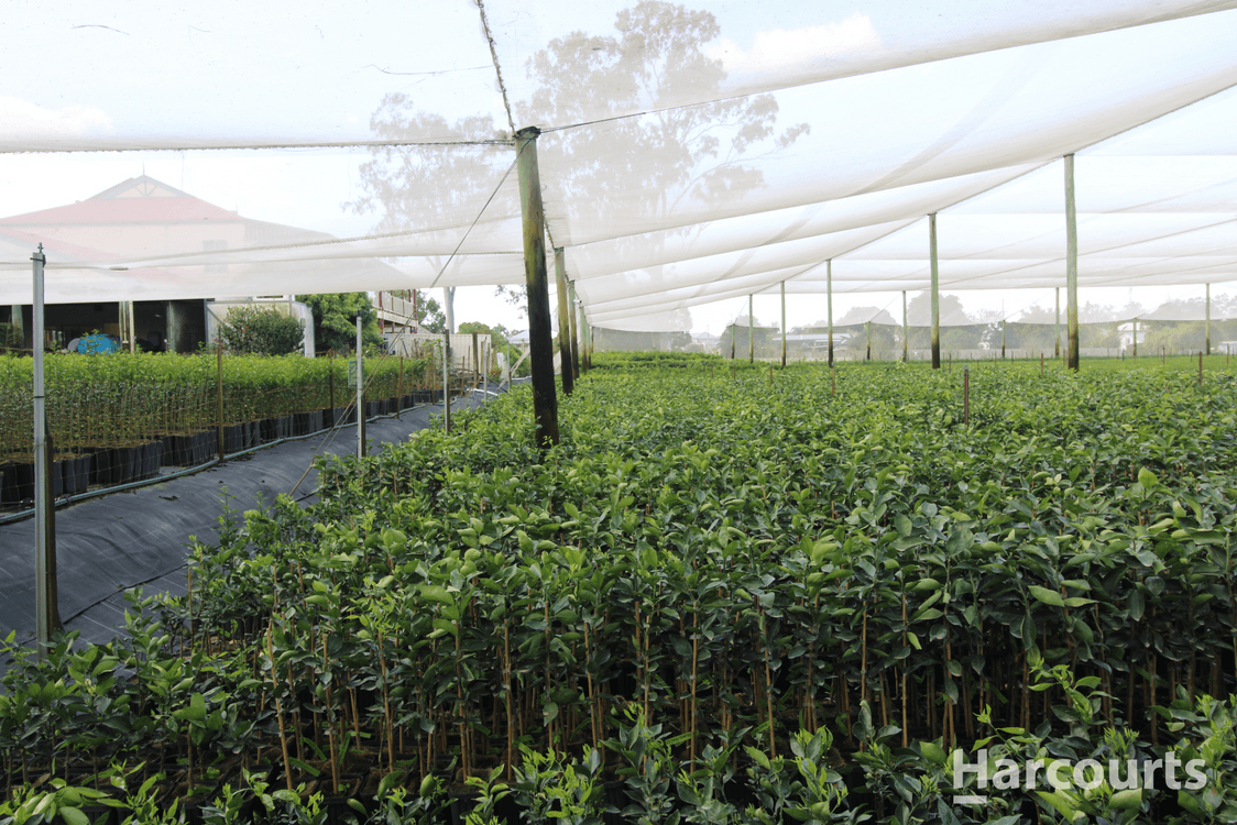 4 Kent Street, TORBANLEA, QLD 4662, Torbanlea - Thumbnail 4