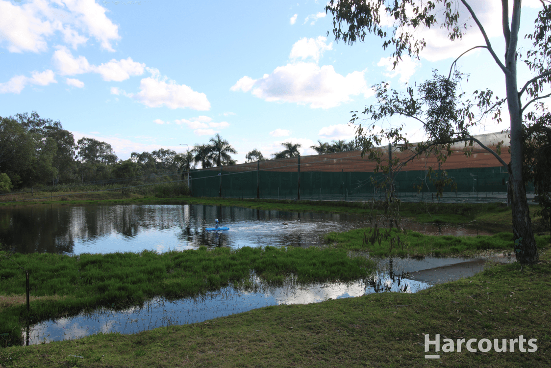 4 Kent Street, TORBANLEA, QLD 4662, Torbanlea - Thumbnail 8