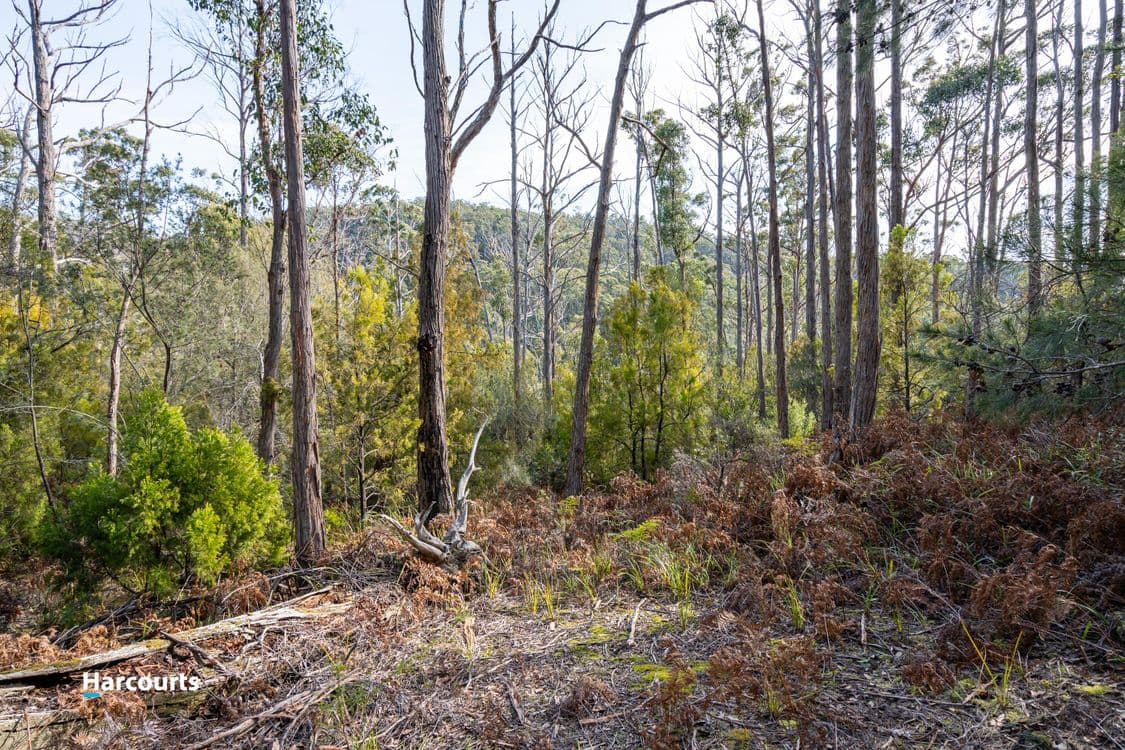 44 Klasen Road, POLICE POINT, TAS 7116, Police Point - Thumbnail 3