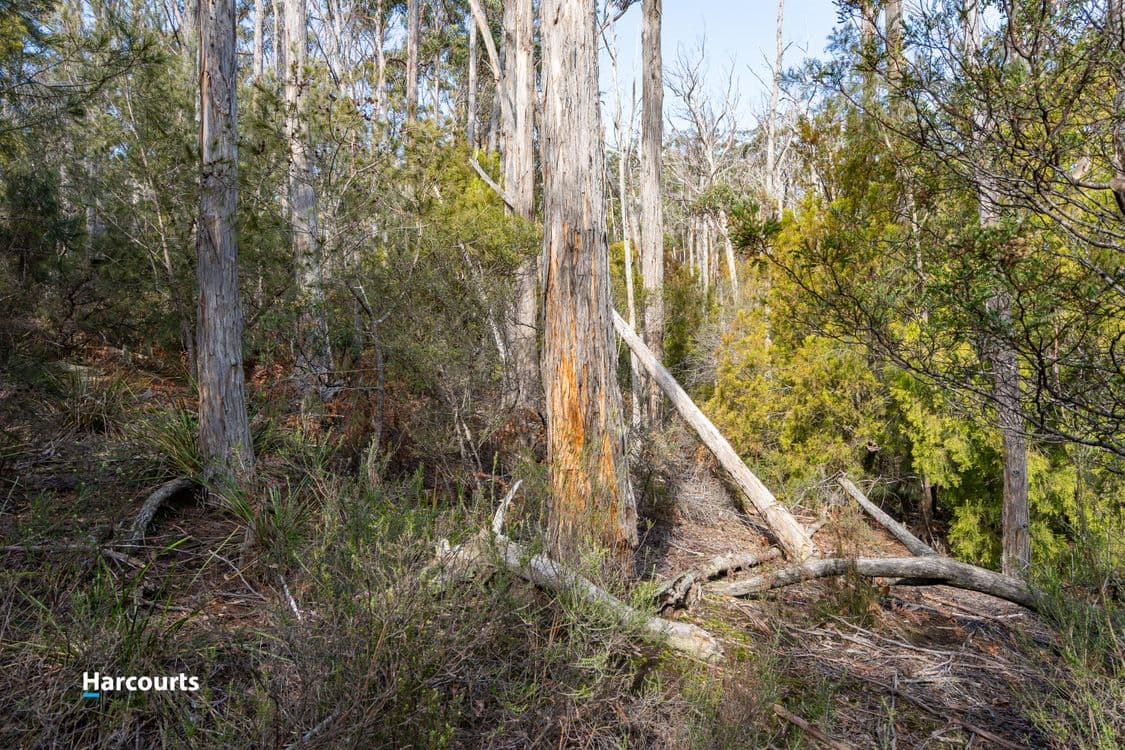 44 Klasen Road, POLICE POINT, TAS 7116, Police Point - Thumbnail 8