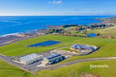 683 Penguin Road, PENGUIN, TAS 7316, Penguin - Image 1