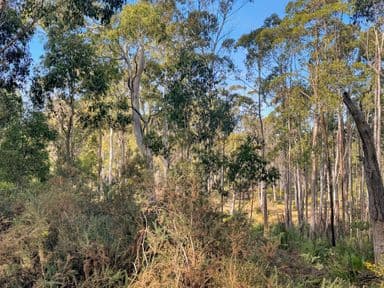 Lot 2 Gillies Road, ST MARYS, TAS 7215, St Marys - Image 1