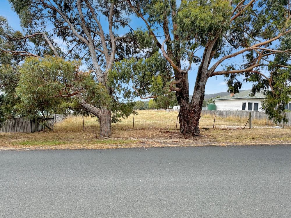 Lot 2 Gillies Road, ST MARYS, TAS 7215, St Marys - Thumbnail 7