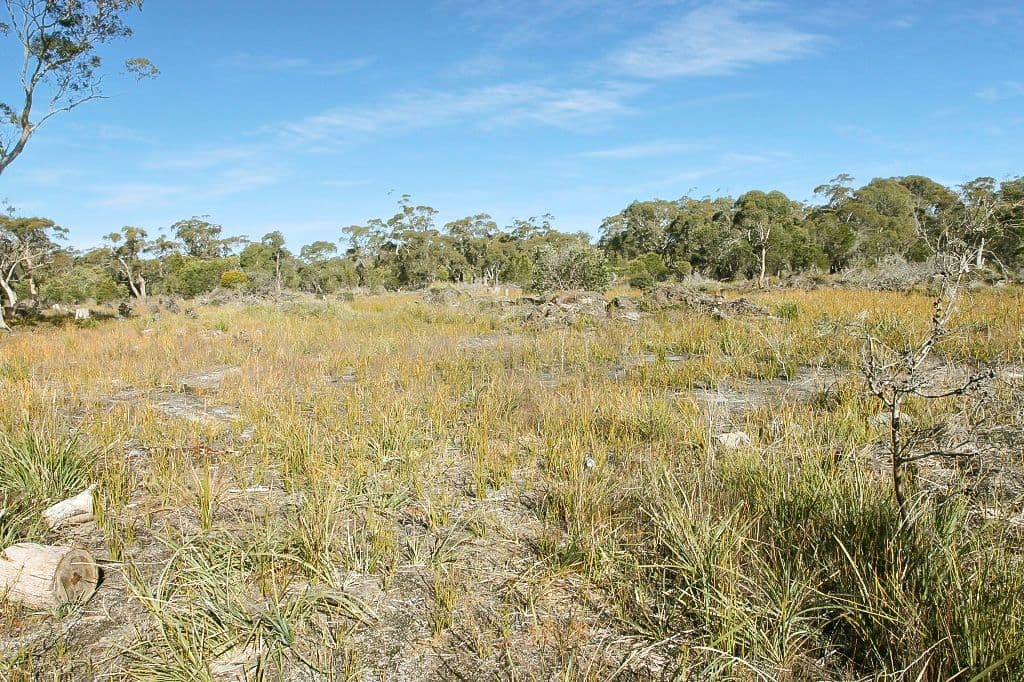 PID 7384430 North Ansons Road, GLADSTONE, TAS 7264, Gladstone - Thumbnail 3