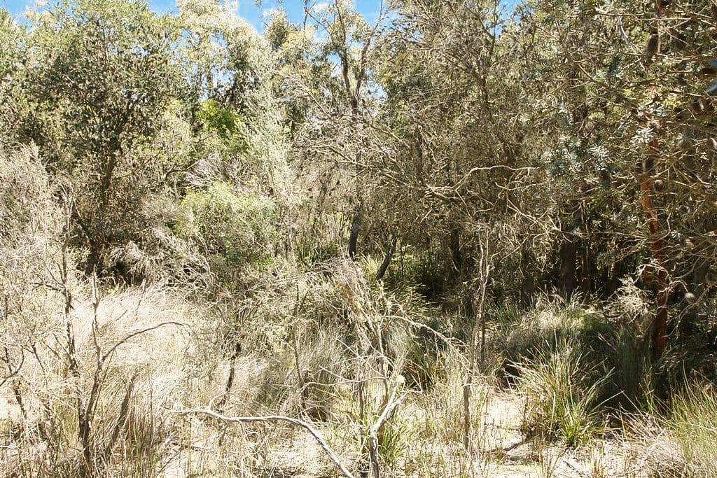 PID 7384430 North Ansons Road, GLADSTONE, TAS 7264, Gladstone - Thumbnail 4