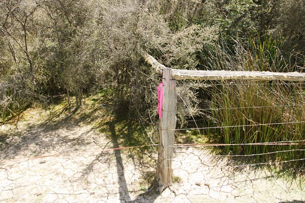 PID 7384430 North Ansons Road, GLADSTONE, TAS 7264, Gladstone - Thumbnail 6