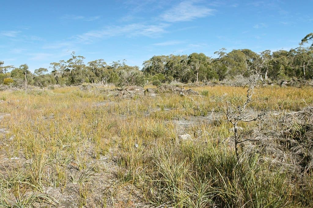PID 7384430 North Ansons Road, GLADSTONE, TAS 7264, Gladstone - Thumbnail 7