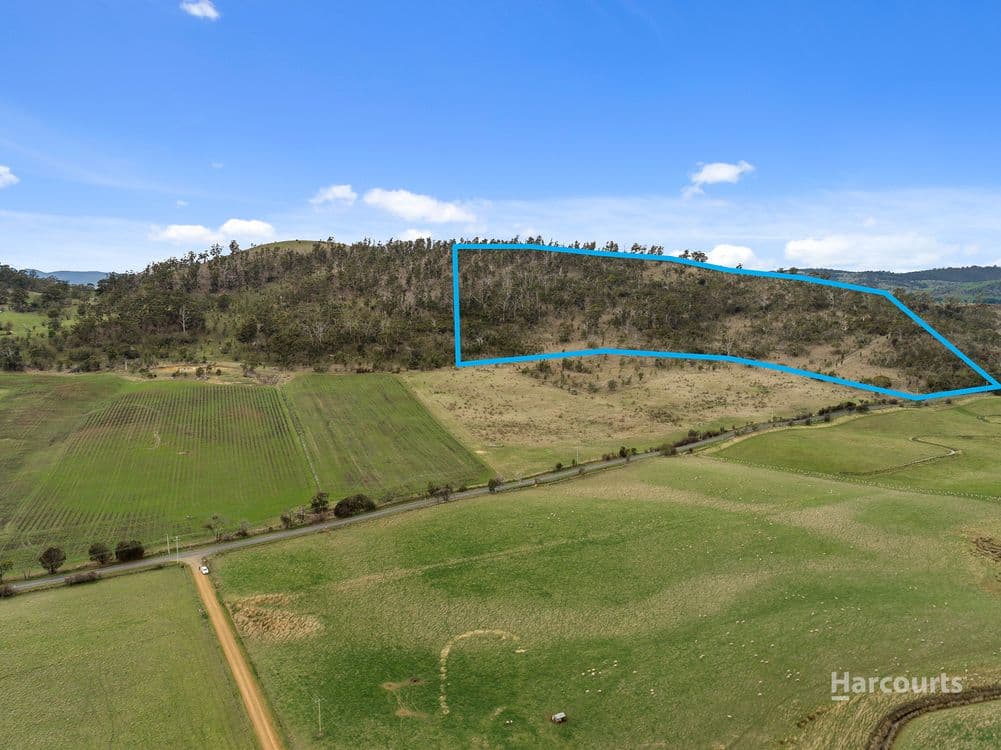 212 Middle Tea Tree Road, RICHMOND, TAS 7025, Richmond - Thumbnail 3
