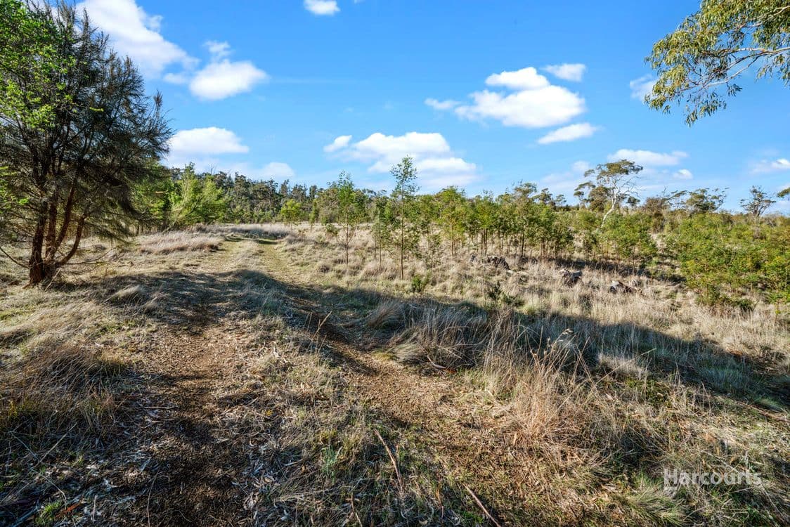 212 Middle Tea Tree Road, RICHMOND, TAS 7025, Richmond - Thumbnail 5