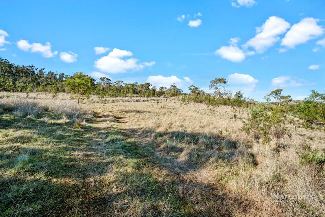 212 Middle Tea Tree Road, RICHMOND, TAS 7025, Richmond - Thumbnail 7