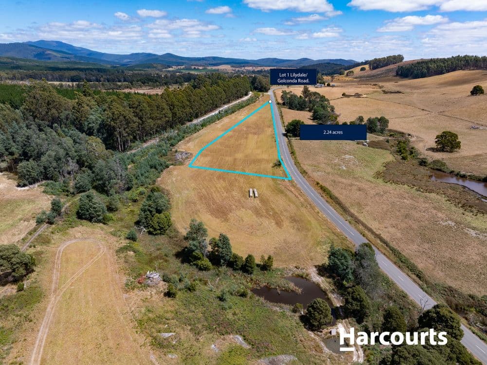 Lot 1 Golconda Road, BLUMONT, TAS 7260, Blumont - Thumbnail 2