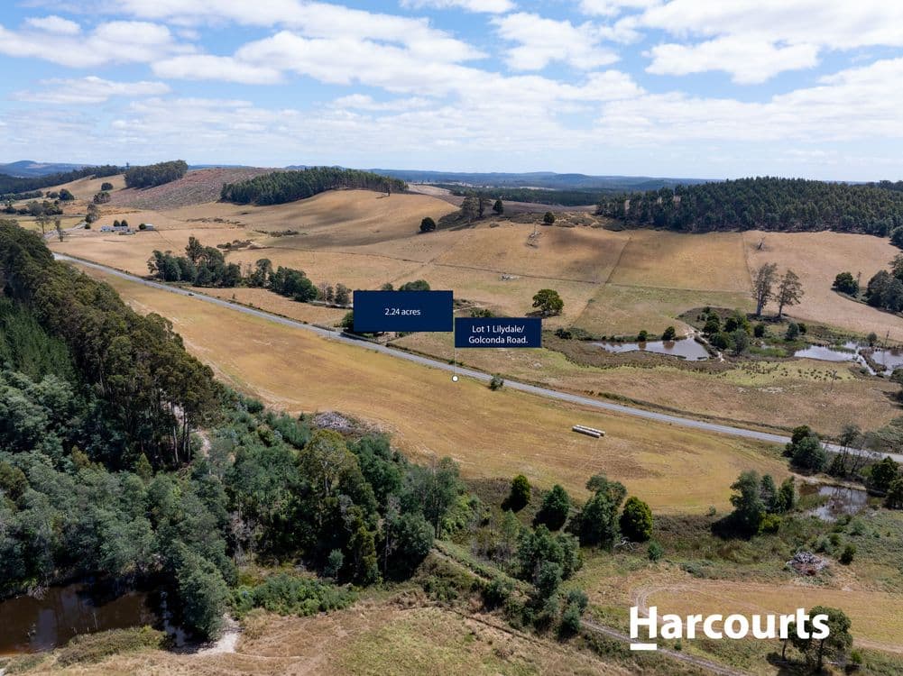 Lot 1 Golconda Road, BLUMONT, TAS 7260, Blumont - Thumbnail 5